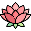 lotus-flower (2).png