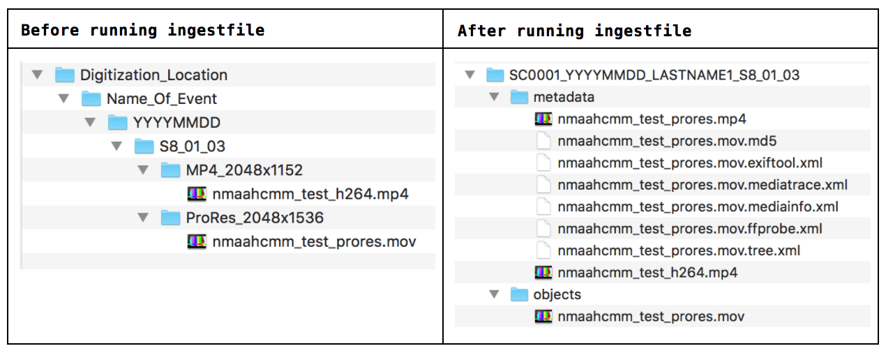 film-dig_beforeafter.png