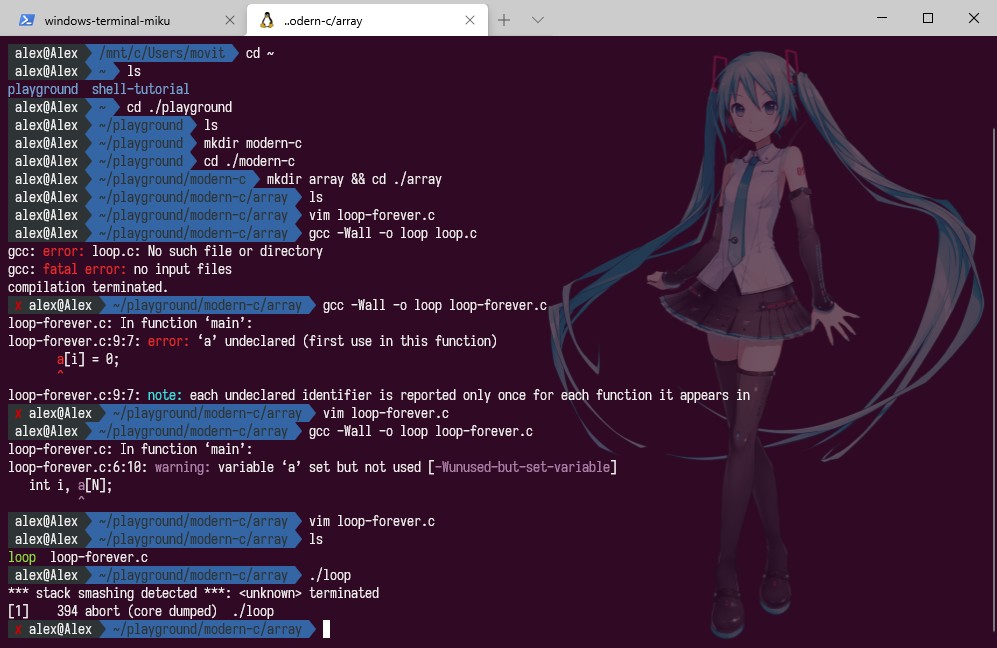 Screenshot-WSL.jpg