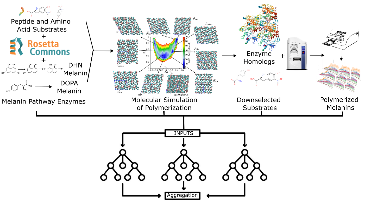 ML_Materials_Graphic_2.png