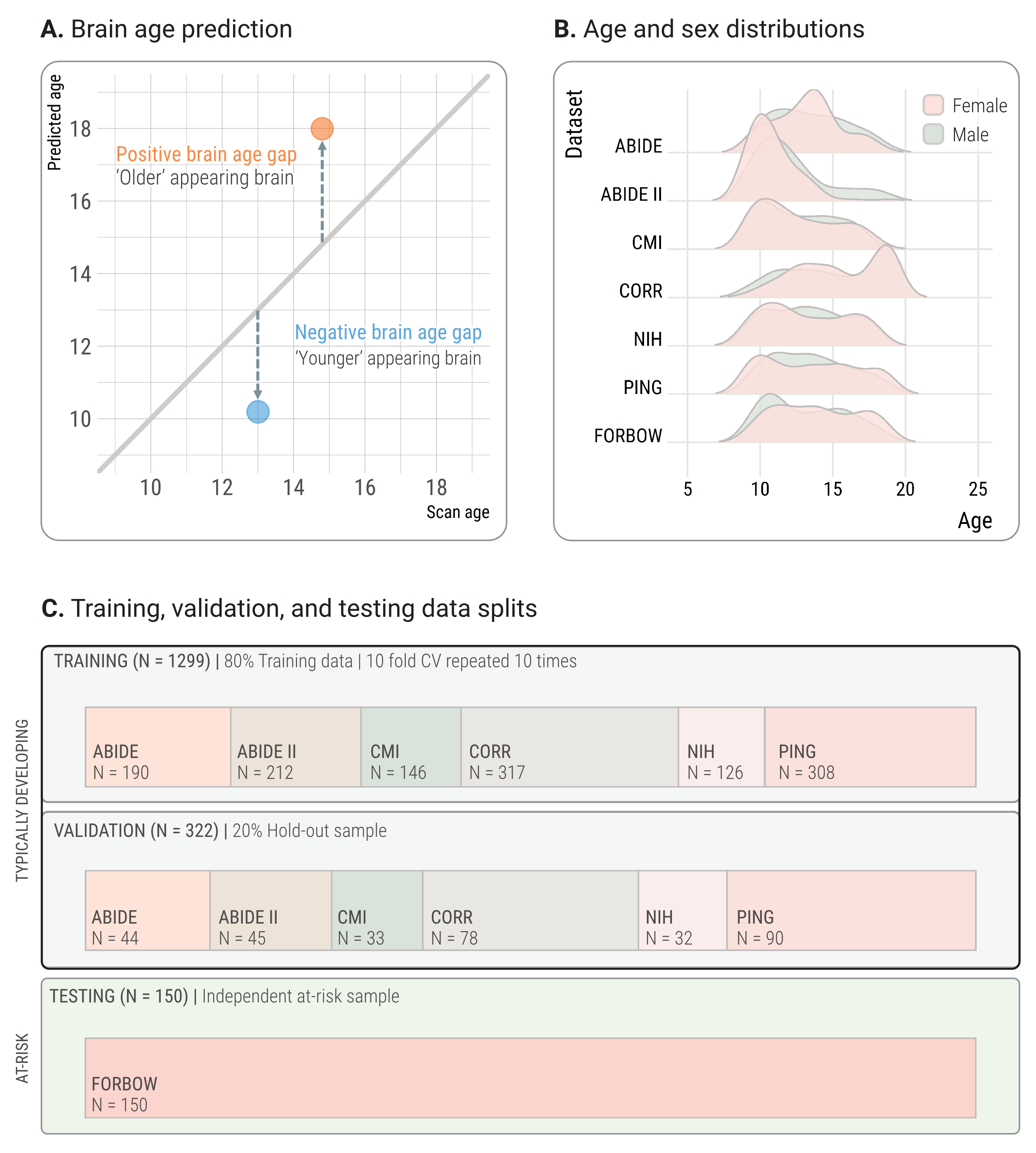 1. Brain age, age dist, data splits.png