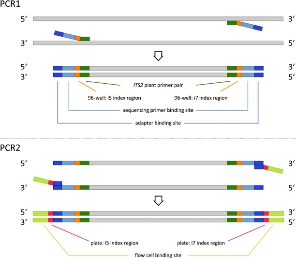 PCR-twostep.jpg