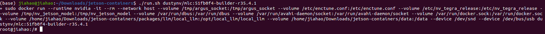 docker_run.png