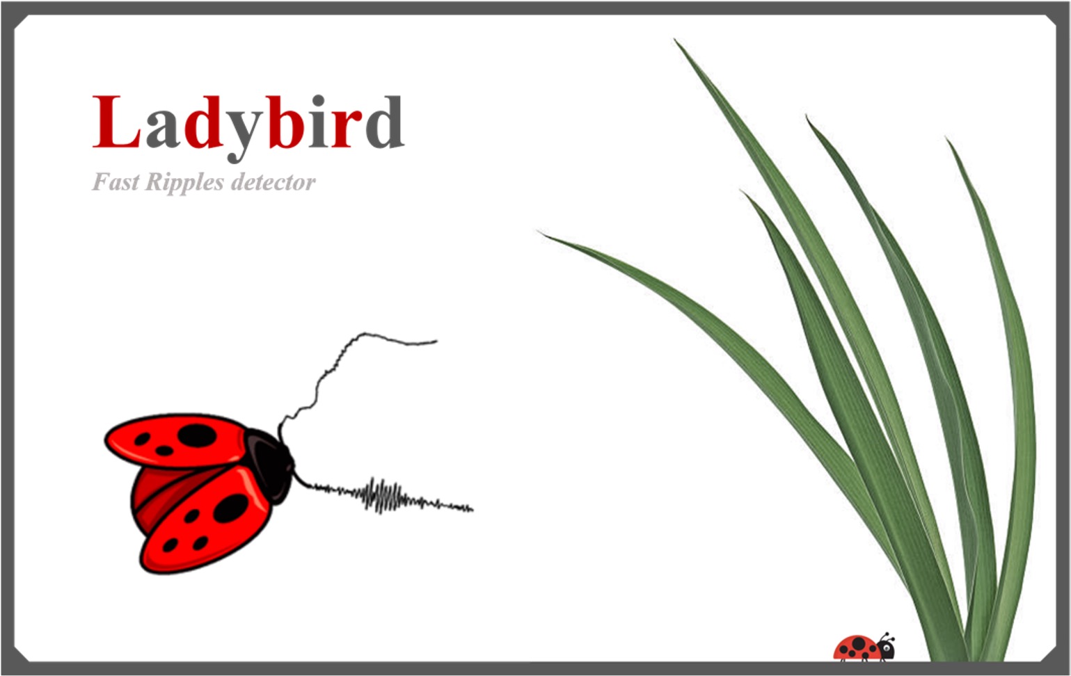 ladybird1_v1.jpg