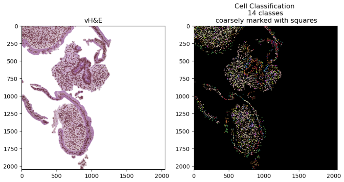 cell_classification.png