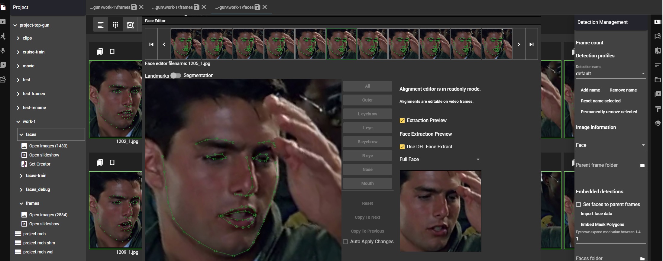 preview-face-editor.jpg