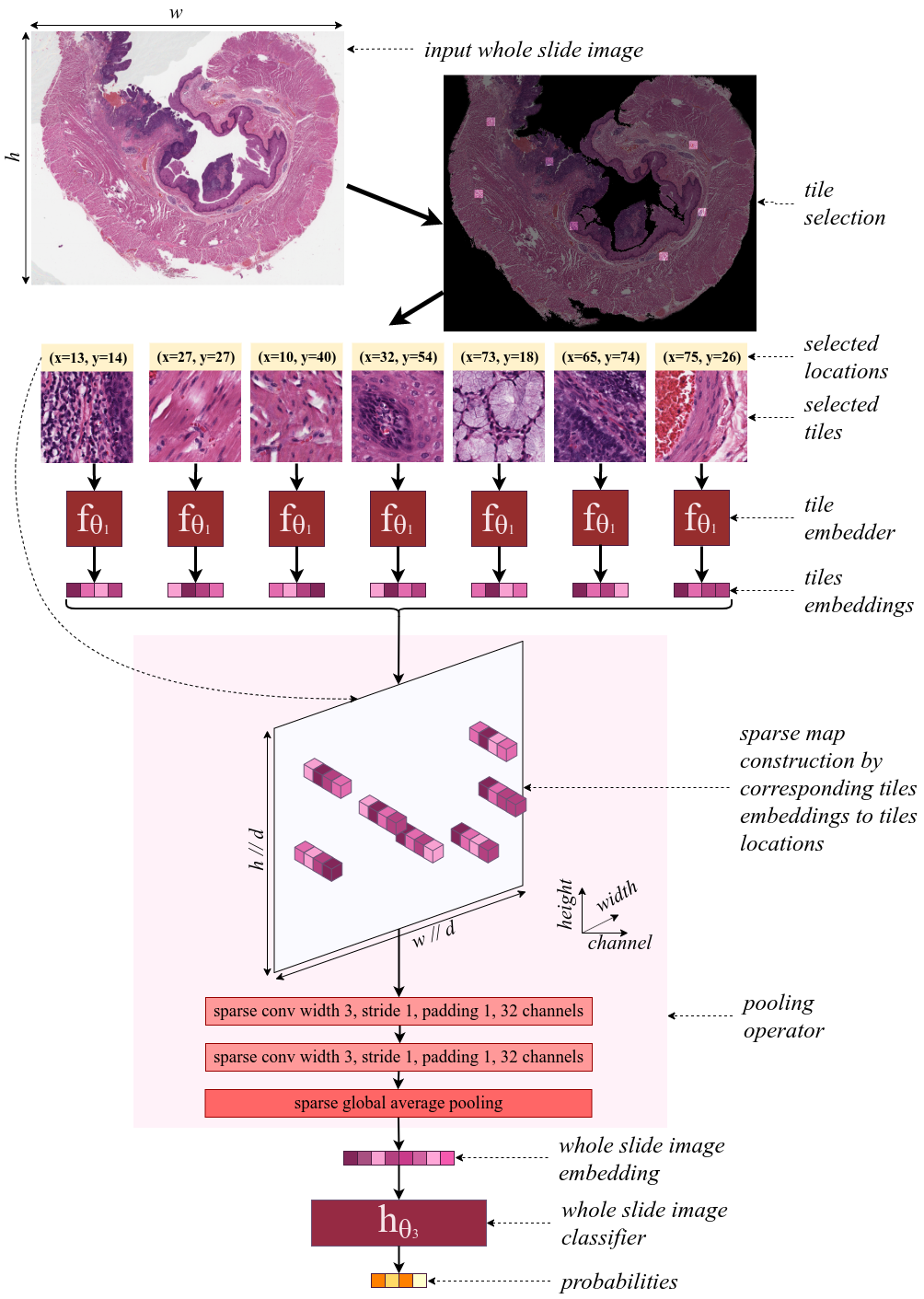 sparseconvmil_architecture.png