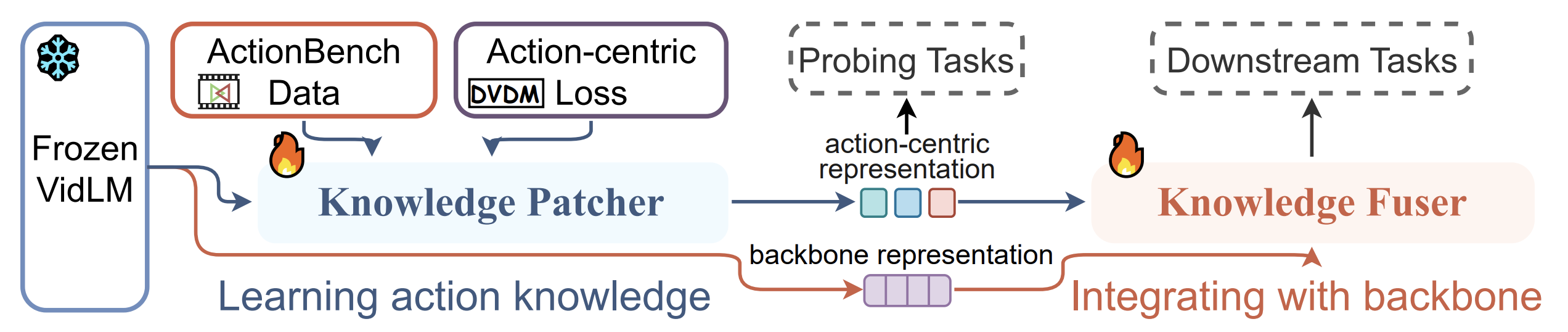 Paxion_overview.png