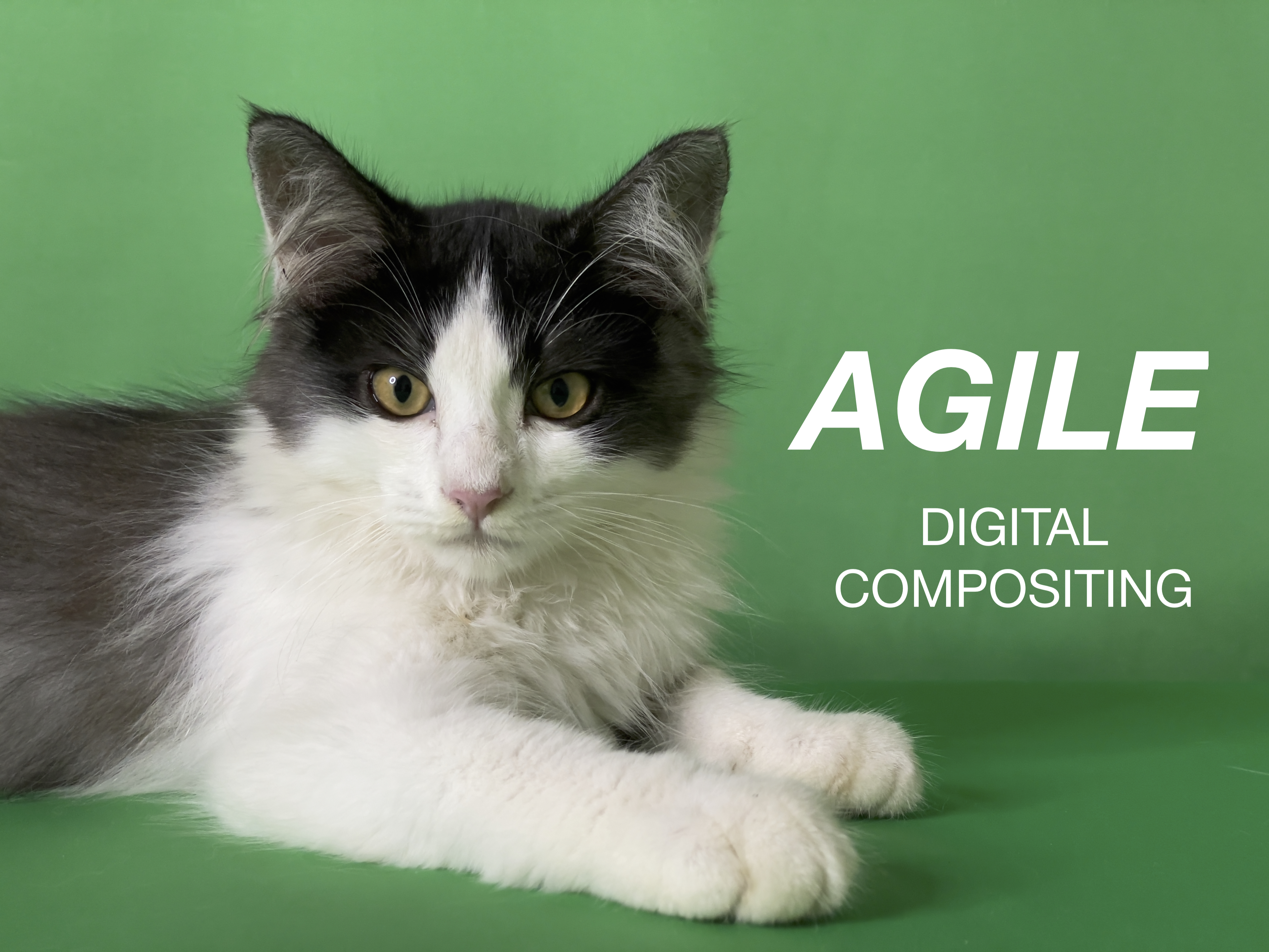 AgileDigitalCompositing.jpeg