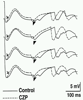 Fig4.gif