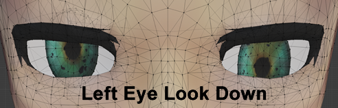 Left Eye Look Down.png