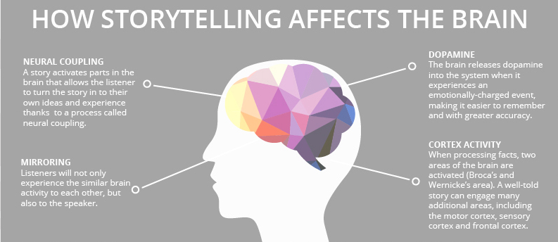 How-storytelling-affects-the-brain.png