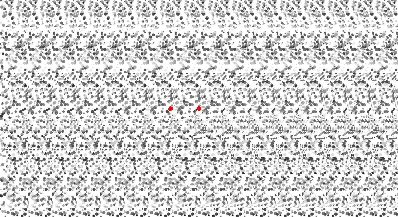 README_autostereogram2.png