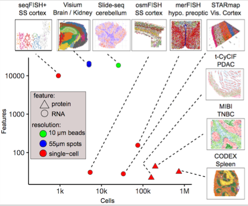 overview_datasets.png