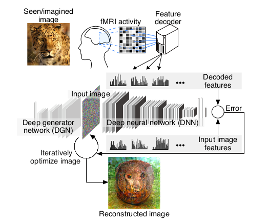 MRI_reconstruction.png