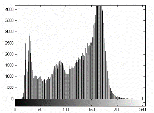 histogram1.png