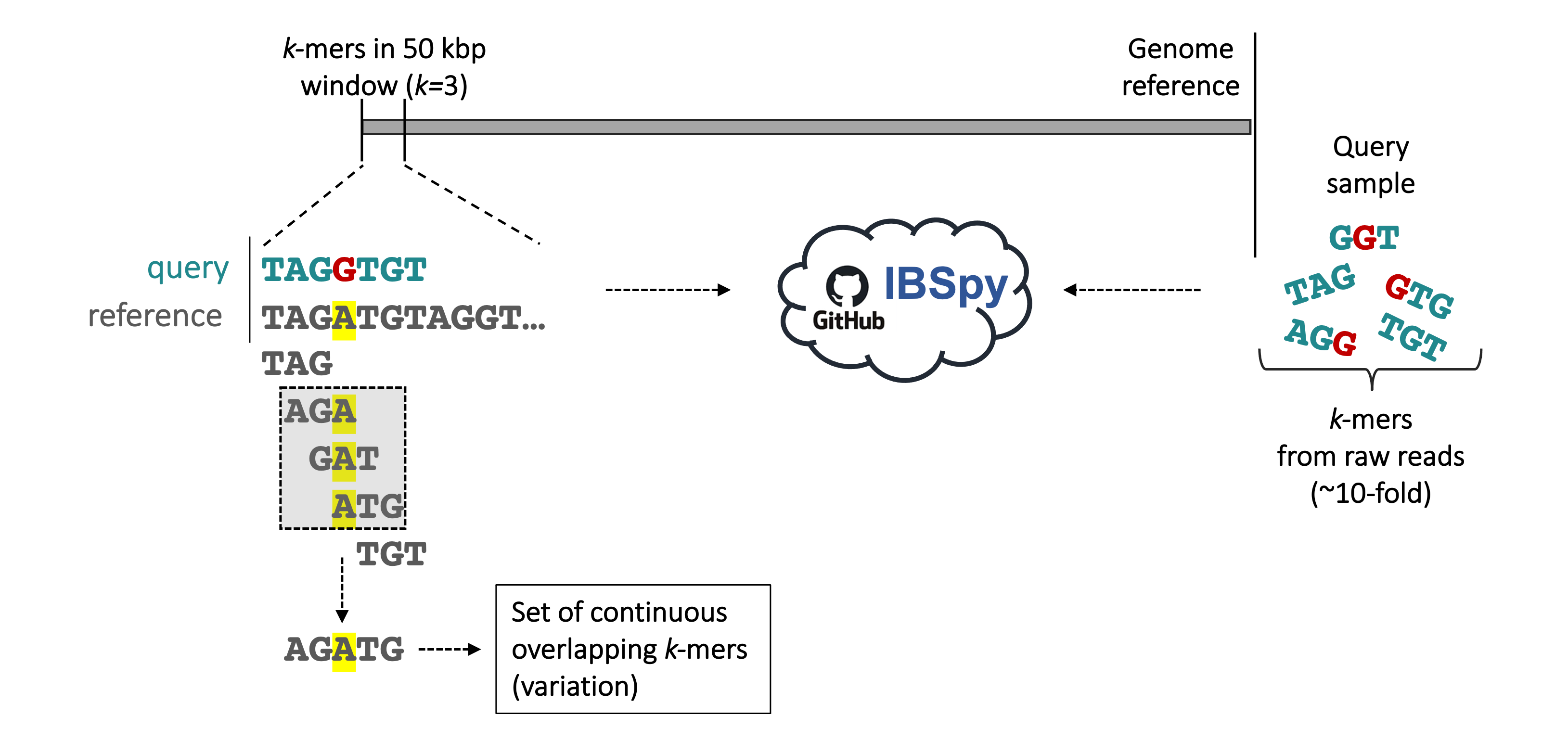 IBSpy_variation.png