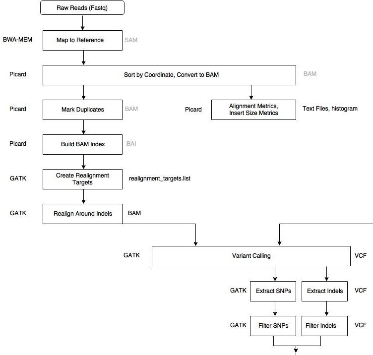 variant-calling-pipeline.jpeg