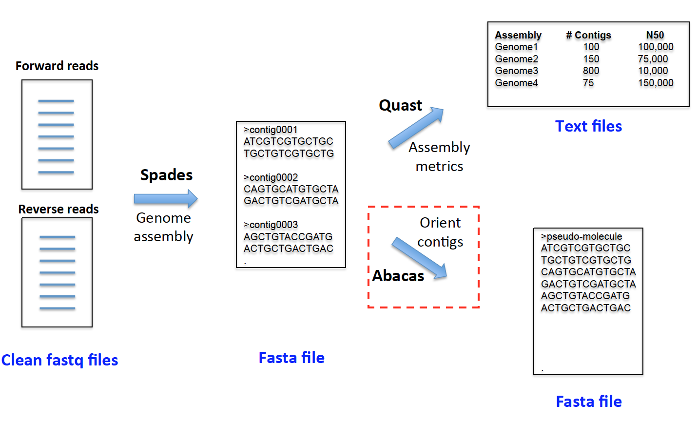 assembly_details_abacas.png