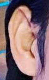 ear3.png