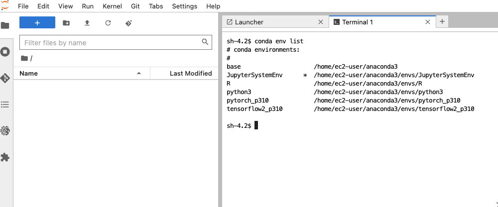 list_conda_envs.png