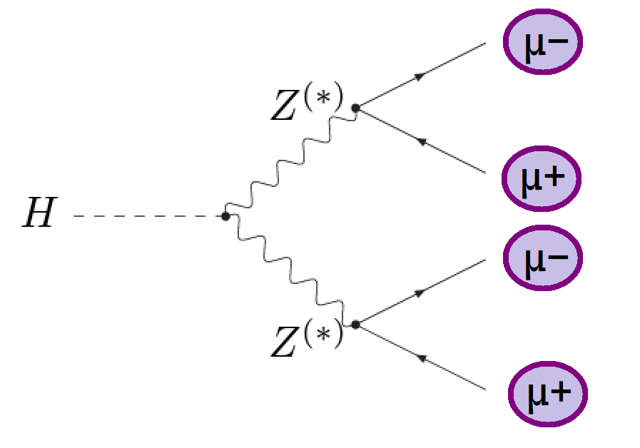 decay_four_leptons_four_muons.png