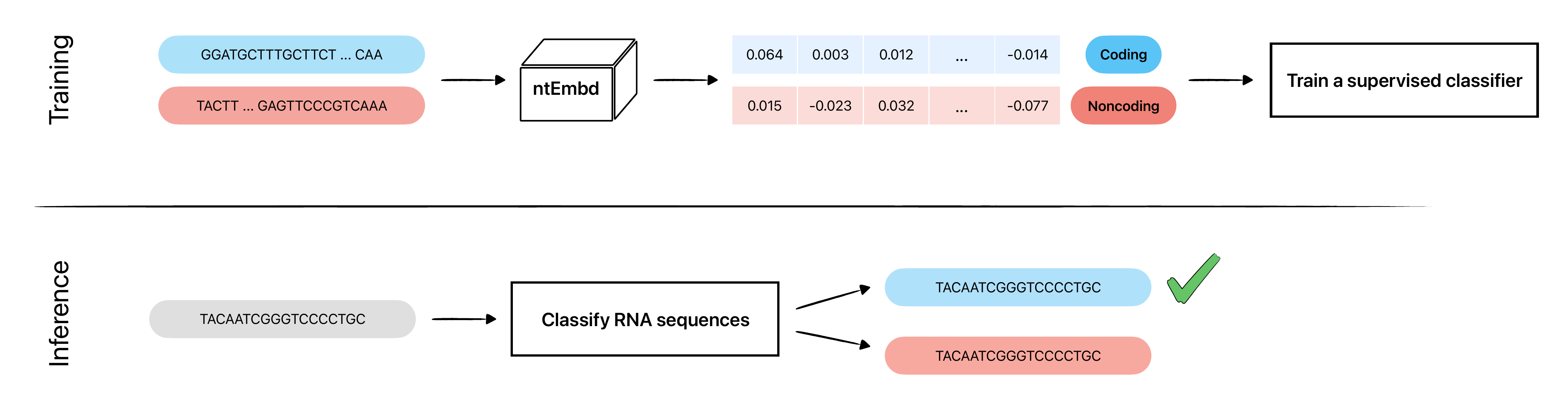 coding vs noncoding analysis.png