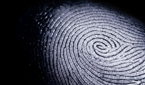 fingerprint2.jpg