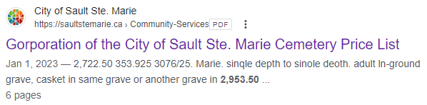 google-result.png