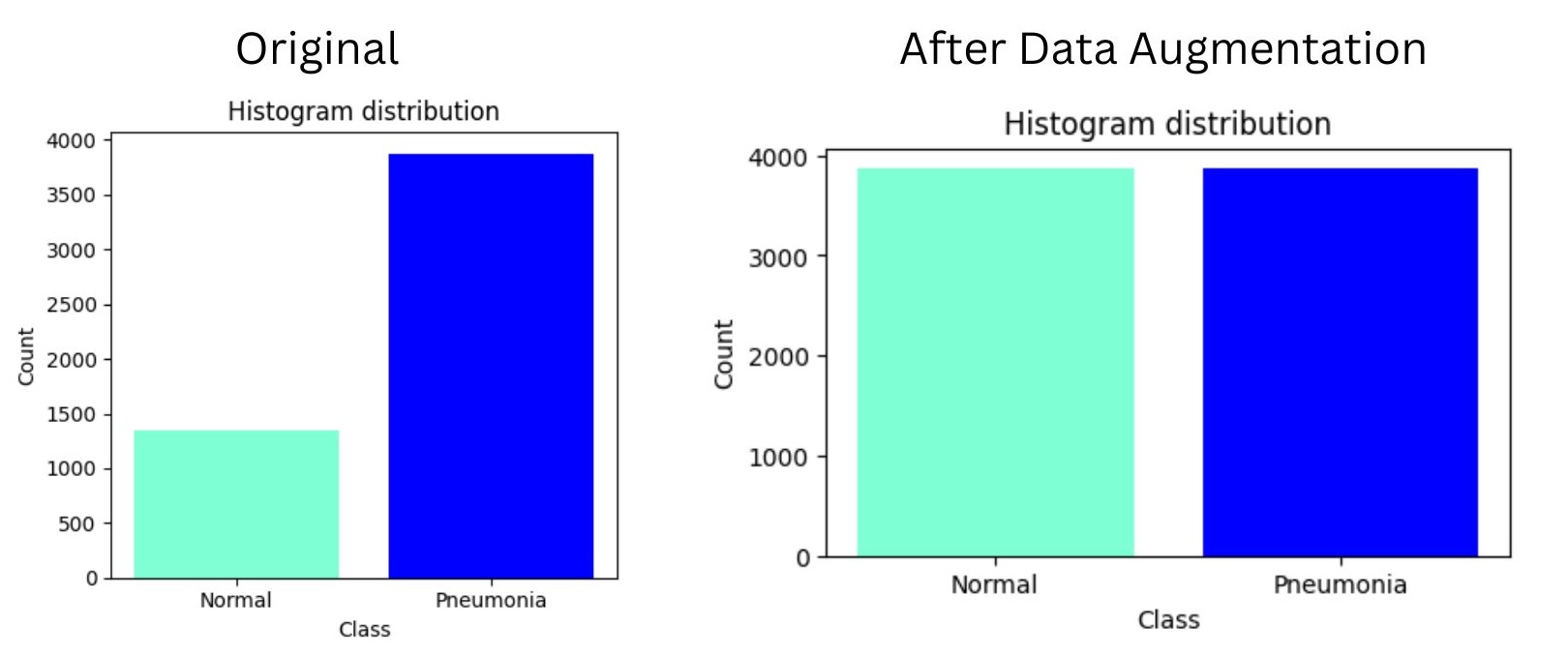 data_aug.jpg