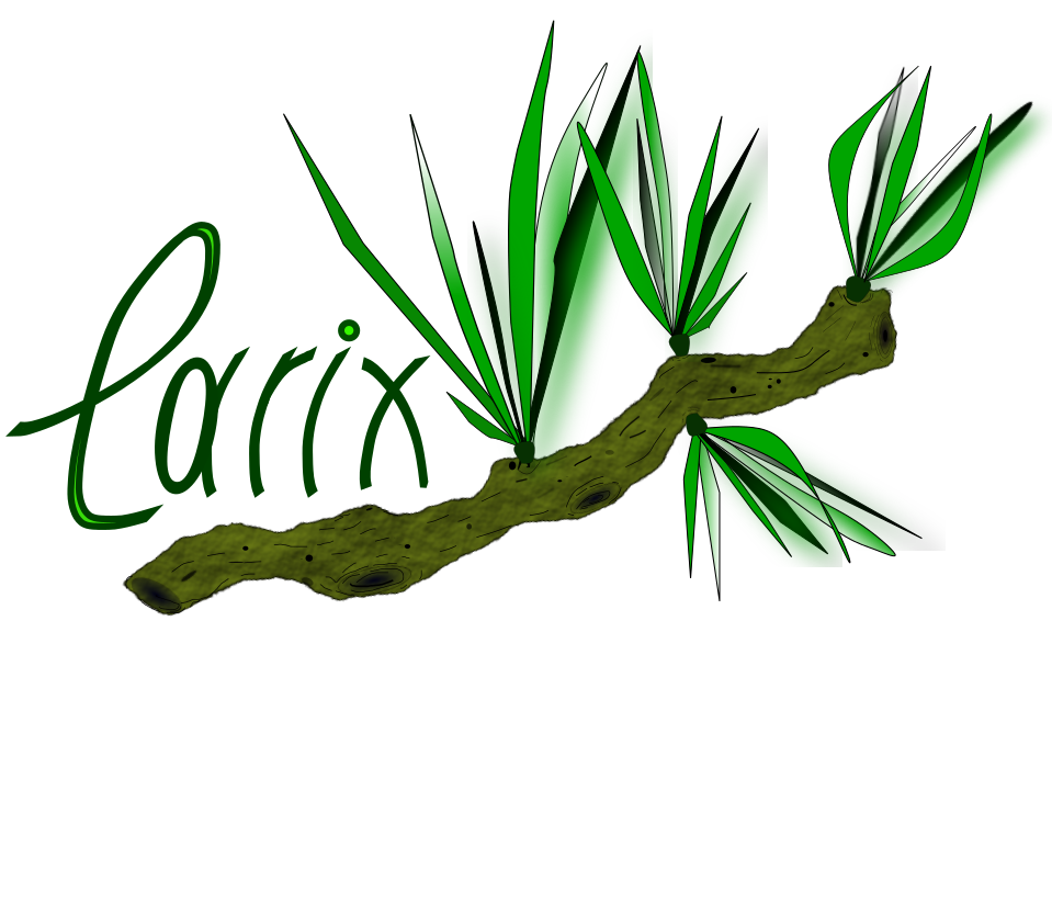 larix_logo.png