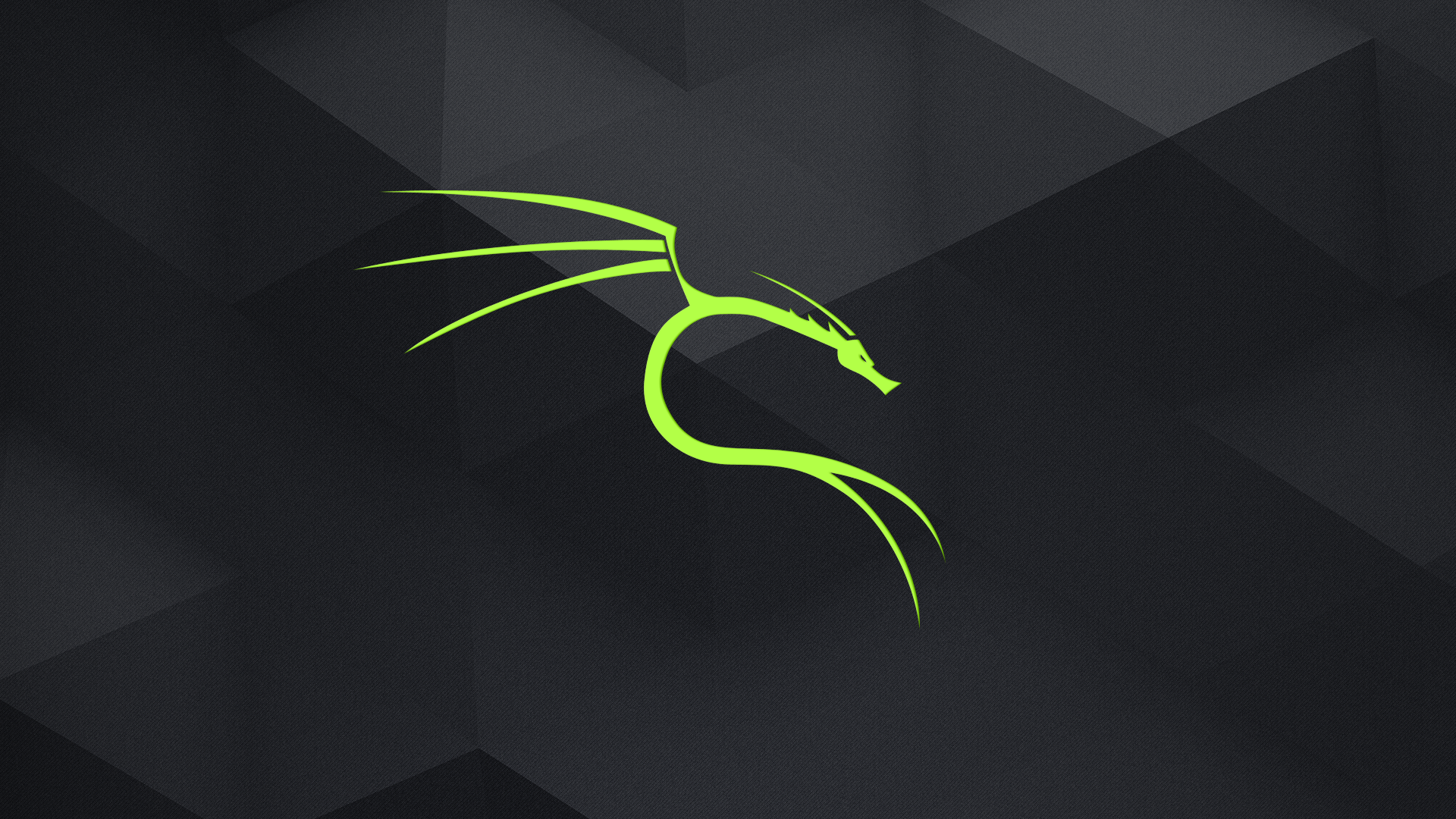 kali-linux-wallpaper-v8.png