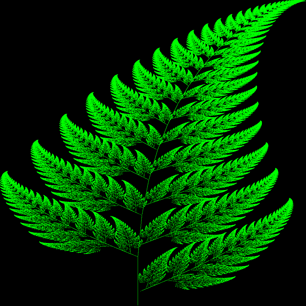 fern_img.png