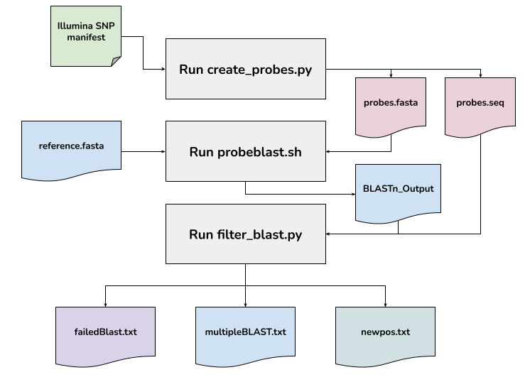 probe_remap_workflow.png