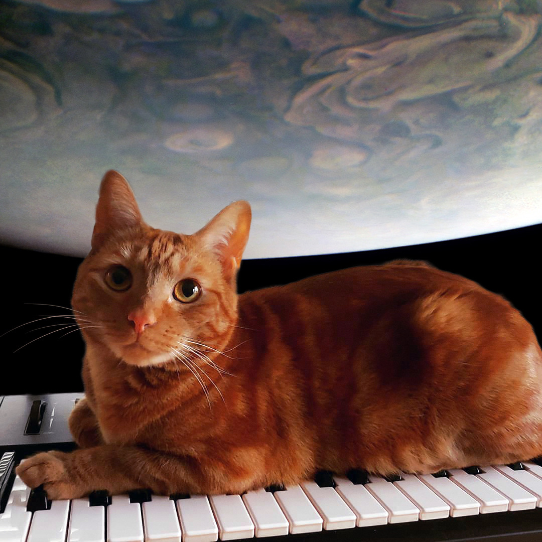 synthcat.png