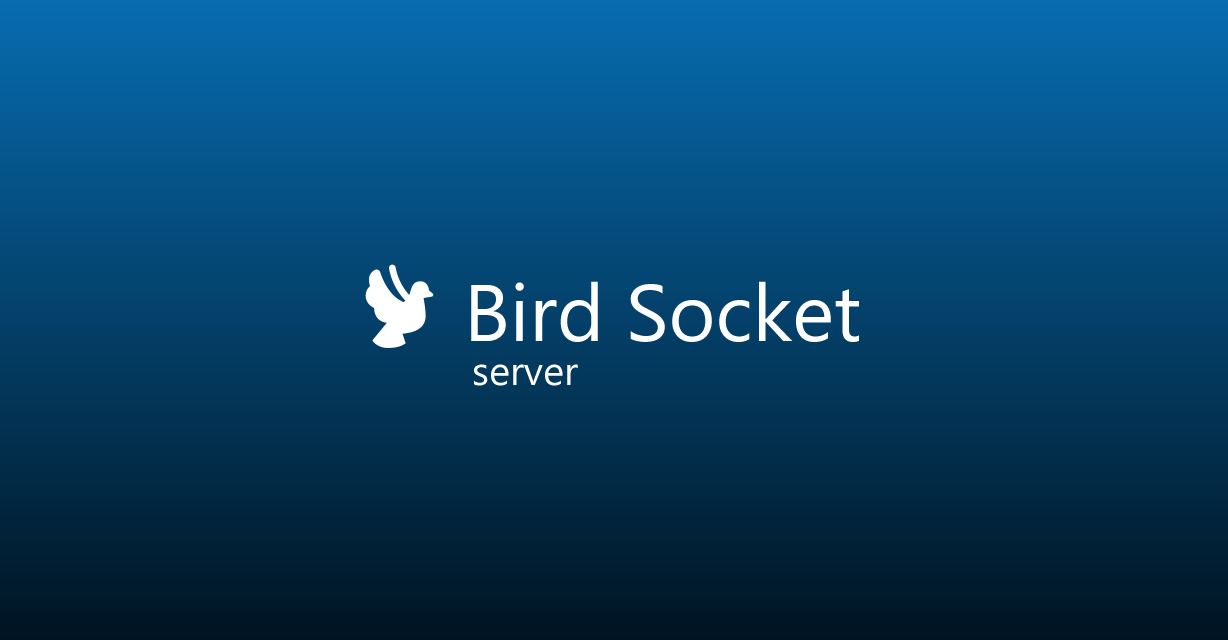 bird-socket-server-banner.png