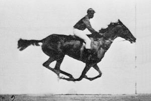 muybridge0001.png