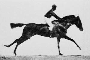 muybridge0009.png