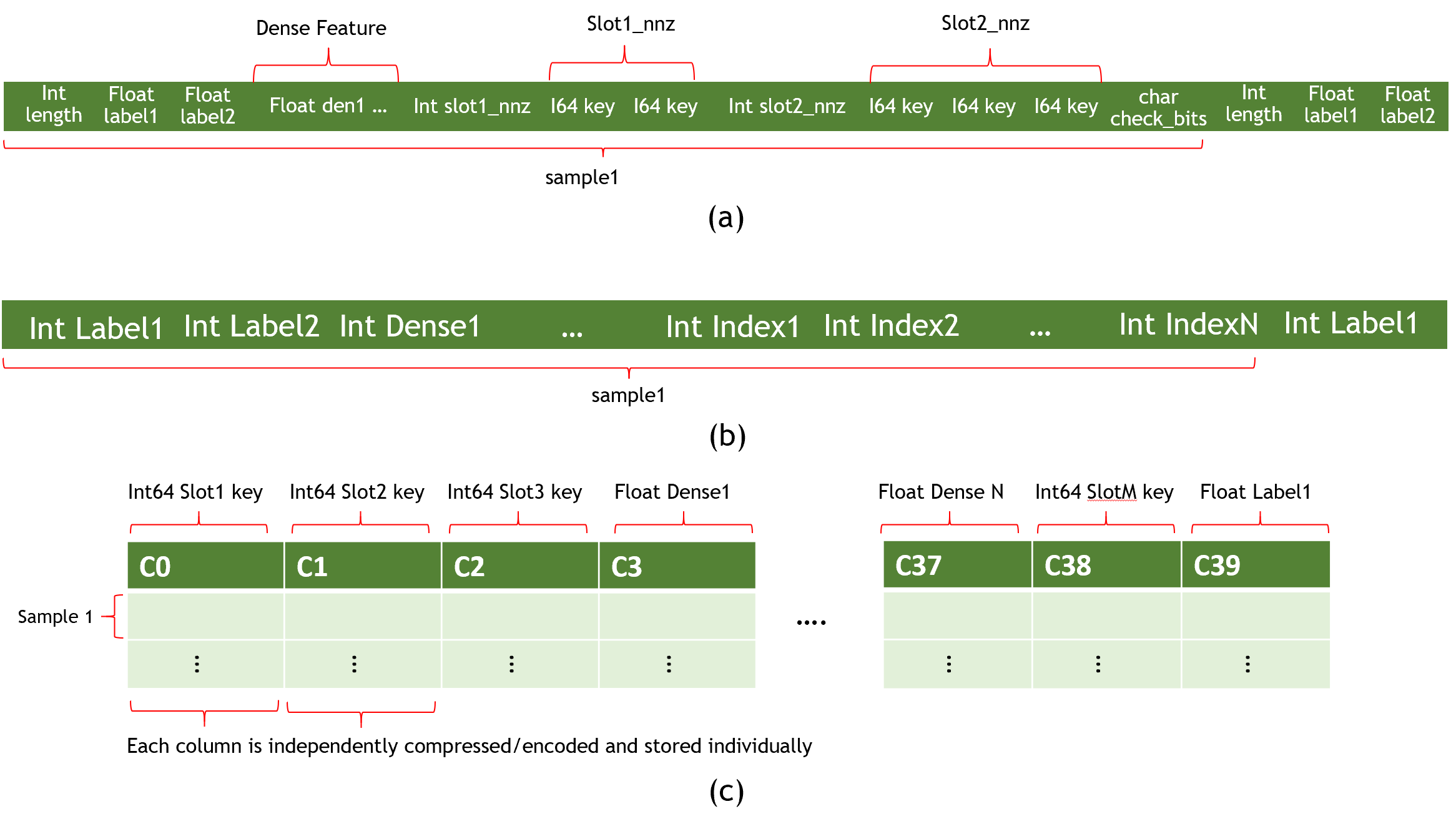 dataset_format.png