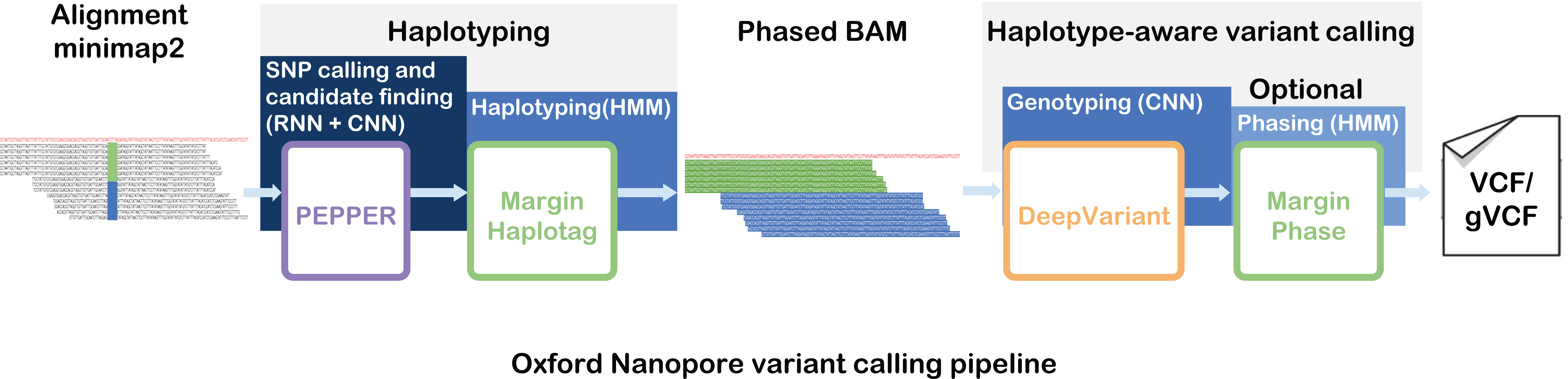 PMDV_variant_calling_ONT_v5.png