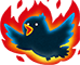 bird.png