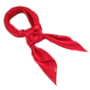 RedScarf_icon.png