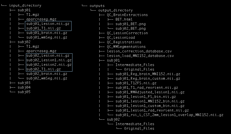 data_structure.jpg