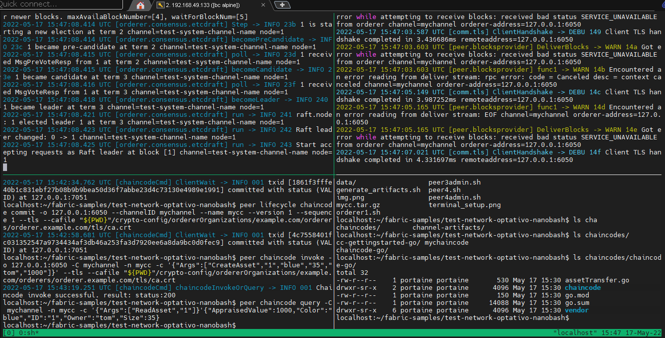 terminal_setup.png