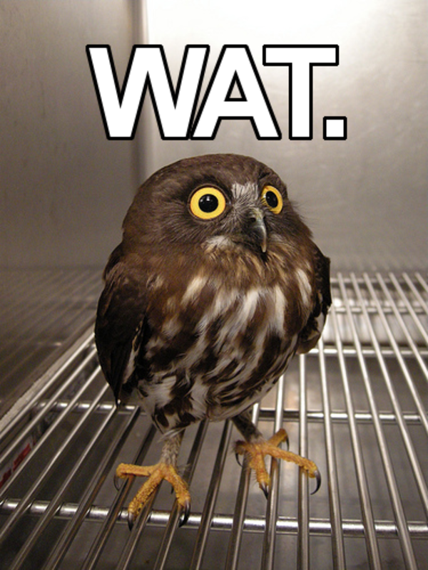 watowl.png