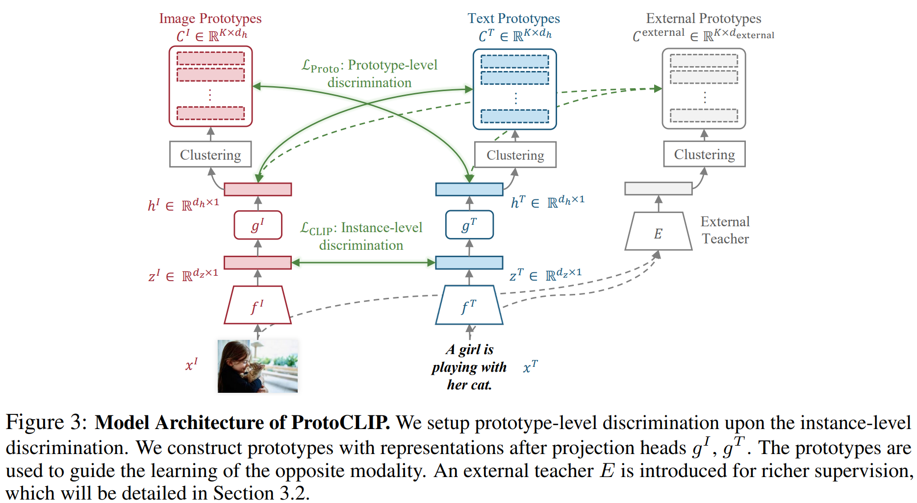 protoclip_model_structure.png