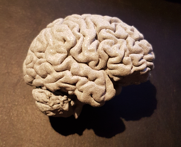 3dbrain.png