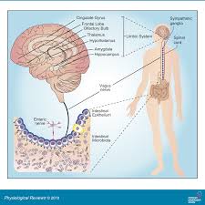 MICROBIOTE18.jpg