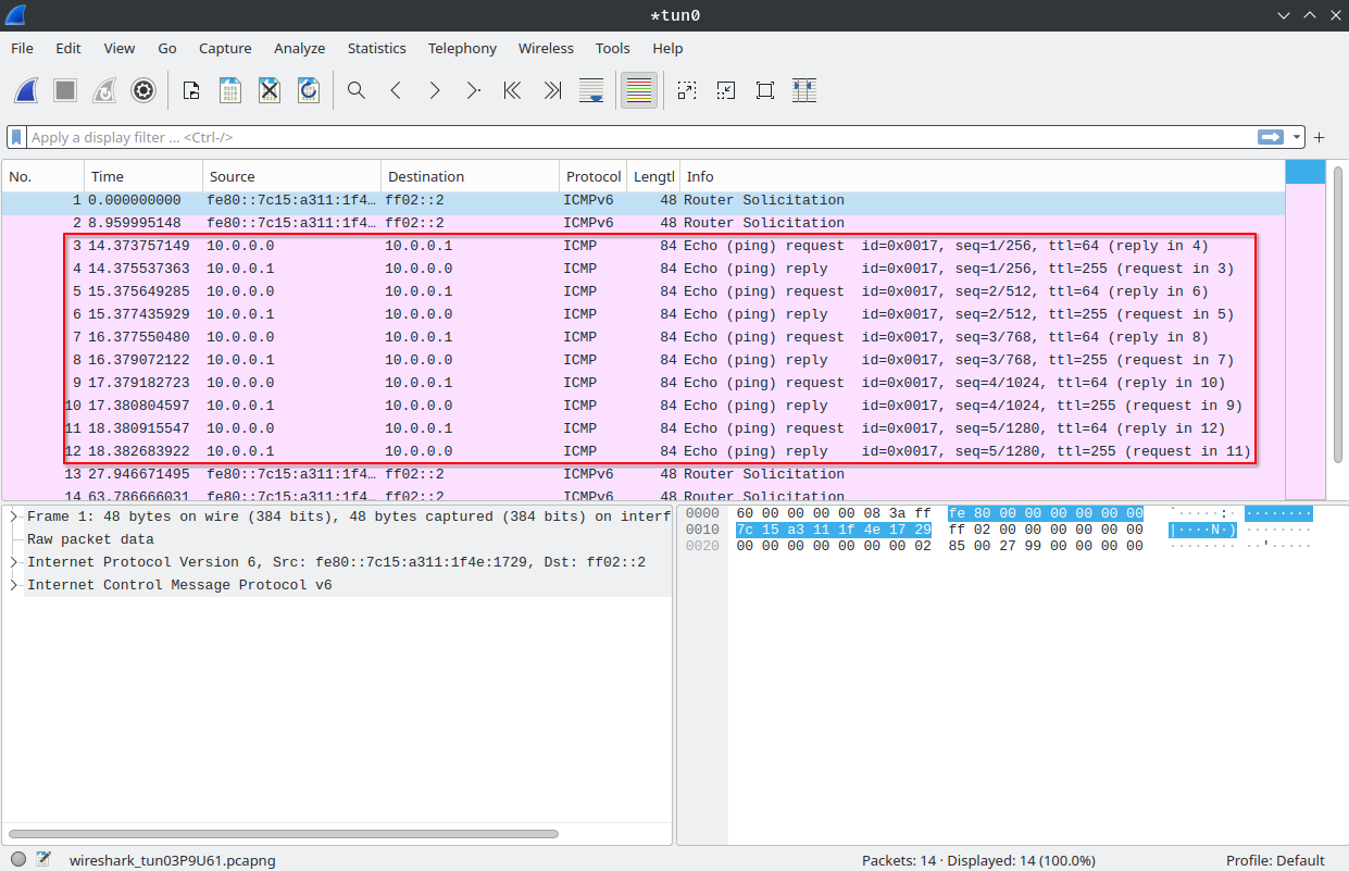 wireshark.png