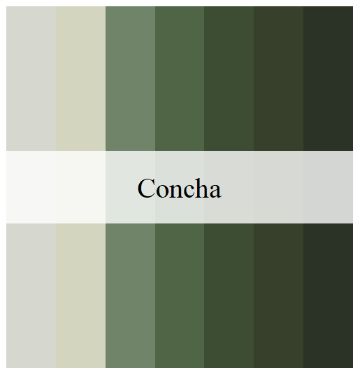 concha.png